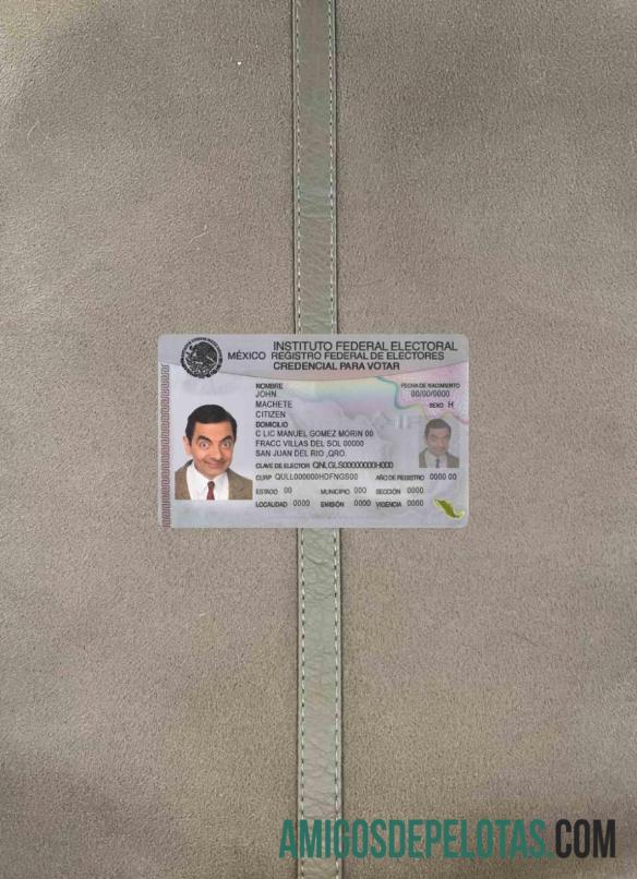 Mexico ID olhar de foto frente exemplo